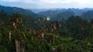 Tropical Tree Gallery: Panoramic Zhangjiajie National Forest Park, Hunan, China