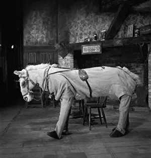 Panto Horse