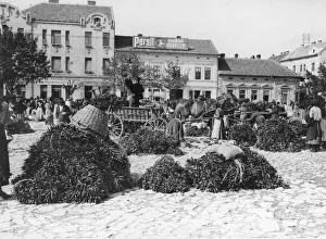 Landscape Collection Prints: Paprika Market