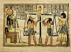 Egyptian Culture Collection: Papyrus