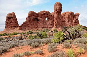 Bizarre Collection: Parade of Elephants, rock formation of red sandstone, Arches National Park, Moab, Utah, USA