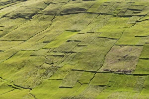 Images Dated 31st May 2013: Parcels of land, fields, patchwork, Kvivik, Streymoy, Faroe Islands, Denmark
