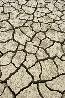 Fill Prints: Parched ground of a lake, Andalucia, Spain, Europe