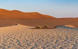 Distance Prints: Parched ground in front of sand dunes