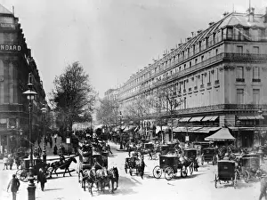 Boulevard Prints: Parisian Boulevard