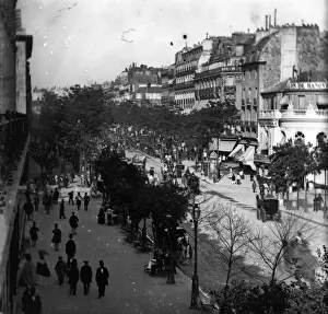 Parisian Boulevard