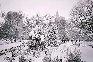 Small Group Of People Gallery: Park covered in snow
