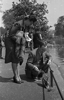 Park Duck Feeding