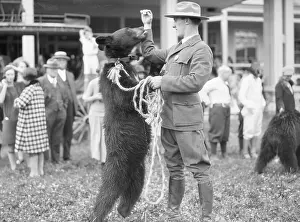 Park Ranger and Bear