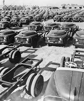 Parking Lot Toyota Cars