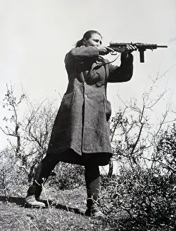 Aiming Prints: Partisan Guerilla Target Shooting