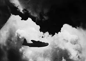 Natural World Gallery: Passenger Plane