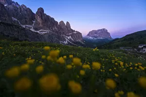Images Dated 18th June 2014: Passo Gardena (Dolimite area)