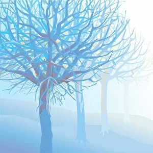 Images Dated 22nd November 2013: Pastel Blue Trees and Branches in Foggy Landscape Illustration