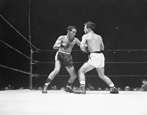 Pat Marcune in Danger After a Hard Punch from Willie Pep