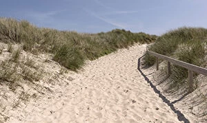 Images Dated 10th June 2014: Path through the dunes, near Kampen, Sylt, Schleswig-Holstein, Germany
