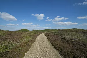 Images Dated 4th September 2014: Path through heathland with typical sea clouds, Kaergard Klitplantage, Oksbol