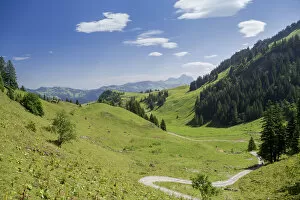 A path leading across lush meadows, Frontal valley, Stoos, Morschach, canton of Schwyz, Switzerland