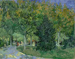 Van 1853 1890 Prints: Path In The Park Of Arles