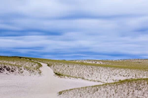 Images Dated 10th September 2010: Path through Provinceland Dunes, Provincetown, Cape Cod National Seashore, Massachusetts, USA