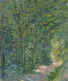 Woods Prints: Path In The Woods