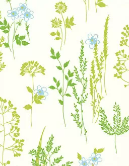 Flower Pattern Illustrations Gallery: Pattern of Green Plants