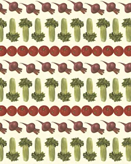 Pattern Artwork Illustrations Gallery: Pattern of Vegetables