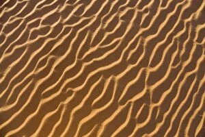 Images Dated 30th November 2007: Patterns in the sand, Libyan Desert, Sahara, Libya, North Africa, Africa