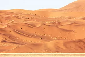 Non Urban Scene Gallery: Patterns and variable colors in dune, Sossusvlei, Namib-Naukluft National Park, Namib Desert