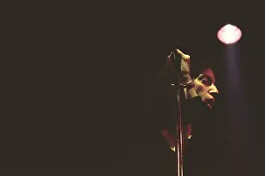 Poet Prints: The Patti Smith Group Perform In Atlanta