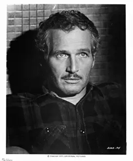 Lac0030 Prints: Paul Newman In Stolen Hours