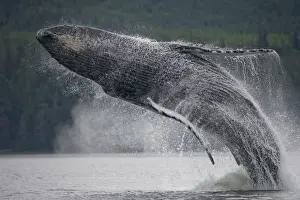 Paul Souders Photography Prints: Paul Souders Photography