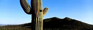 Paul Souders Photography Gallery: Paul Souders Photography