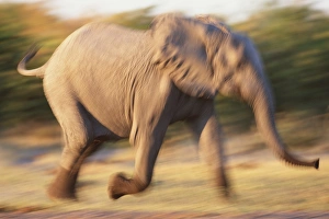 Paul Souders Photography Gallery: Paul Souders Photography