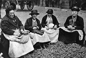 Pea Shellers