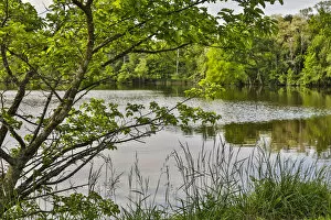 Images Dated 23rd May 2017: Peaceful morning at Horseshoe Lake, Shaker Heights, Ohio, USA