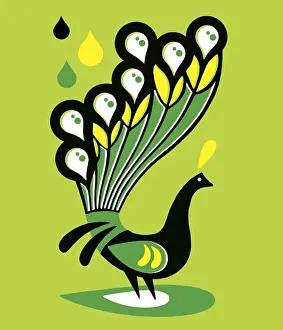 Illustration And Pain Prints: Peacock