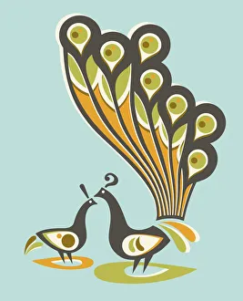 Illustration And Painti Gallery: Peacock Couple