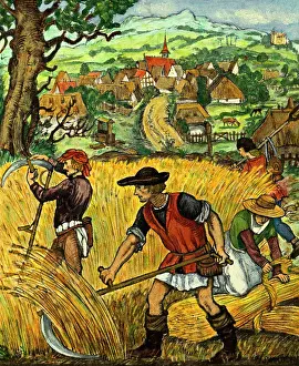 Peasants Harvesting Wheat