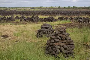 Irish Prints: Peat briquettes used for fuel in private homes are dried by the citizens themselves