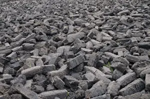 Digging Prints: Peat briquettes used for fuel in private homes are dried by the citizens themselves