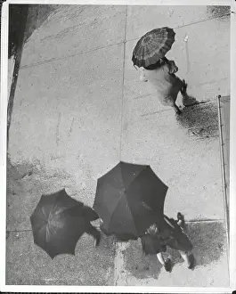 Pedestrians Under Umbrellas Walking Down Rainy Street