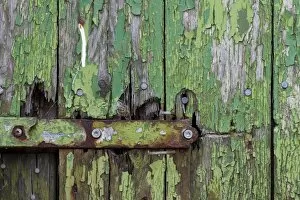 Board Gallery: Peeling green paint on wooden boards and a hinge, Faroe Islands, Faroe Islands, Denmark