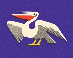 Images Dated 21st November 2012: Pelican