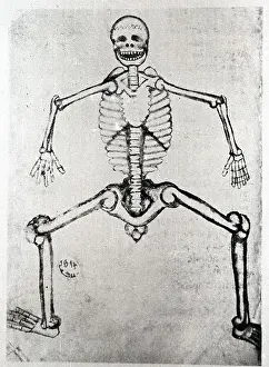 Pen and Ink Drawing of a Skeleton