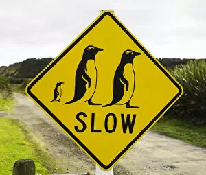Footpath Gallery: Penguin crossing sign on country road