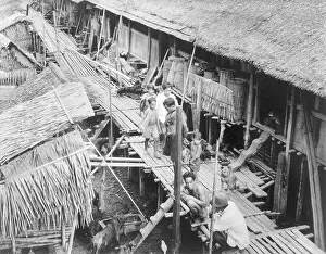 People and Animals in Longhouse