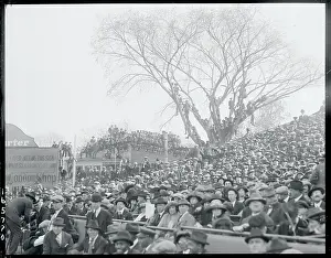 People Attending a Ball Game