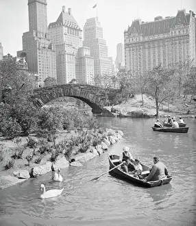 People Boating in Central Park