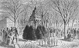 People Gathering Around Bird Houses at Madison Park